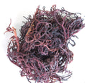 Purple Wildcrafted Sea Moss
