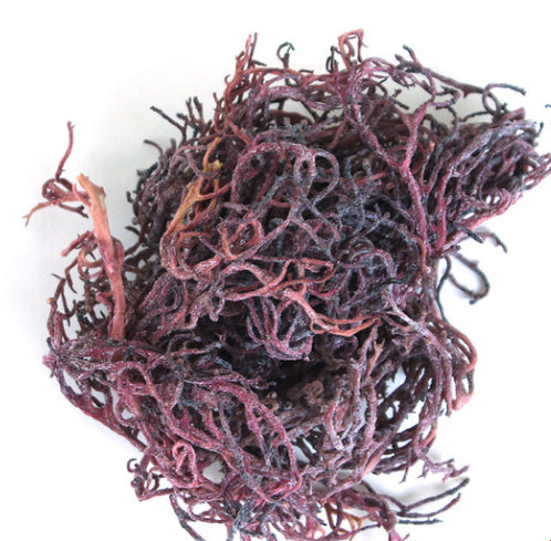 Purple Wildcrafted Sea Moss